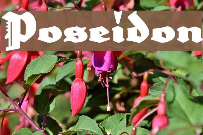 Poseidon Font examples