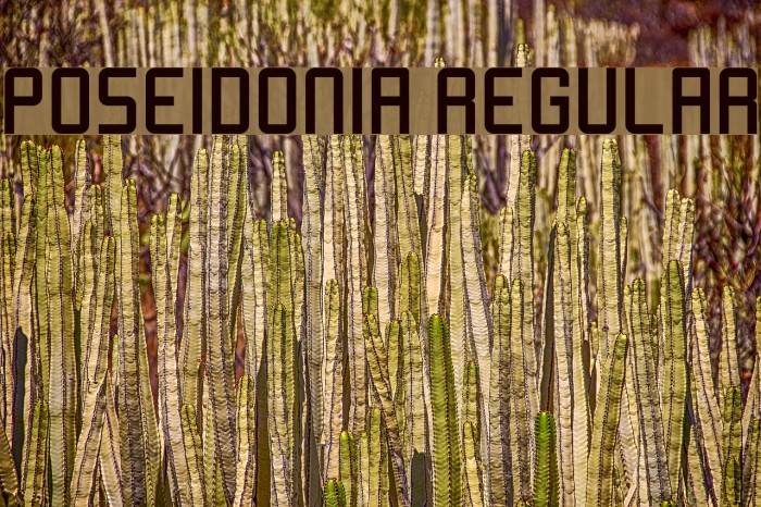 Poseidonia Regular Font examples