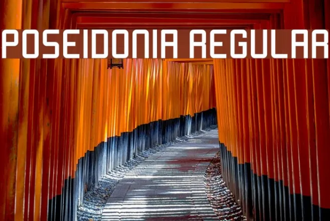 Poseidonia Regular Example 3