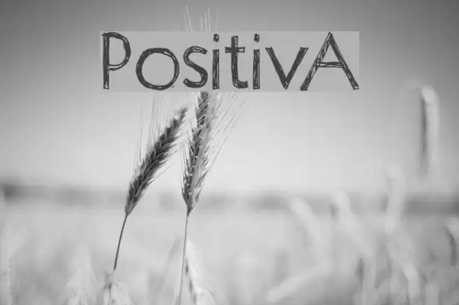 Positiv-A Font examples