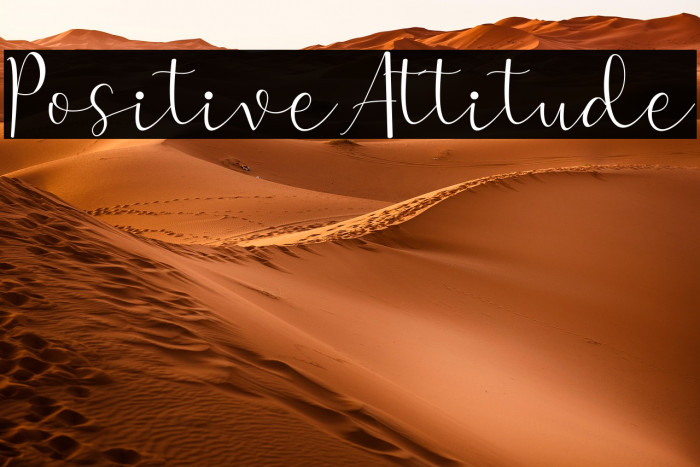 Positive-Attitude Example 3