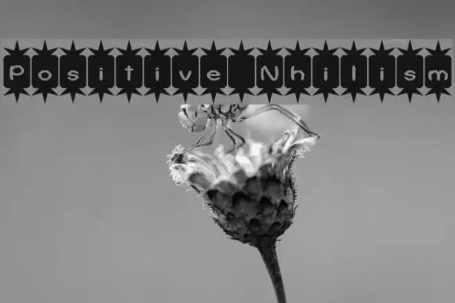 Positive Nhilism Font examples