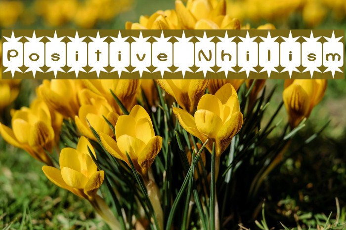 Positive Nhilism Font examples
