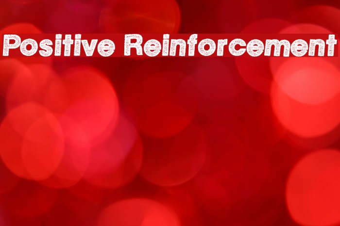 Positive Reinforcement Font examples