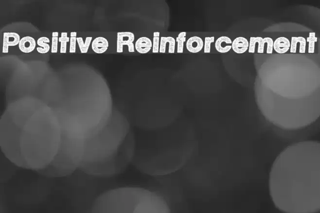 Positive Reinforcement Schriftart examples