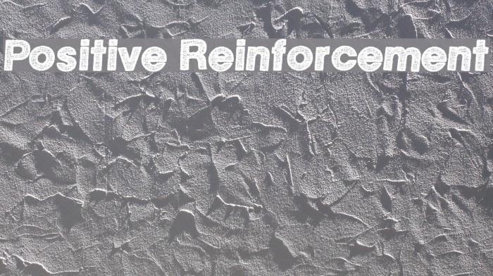 Positive Reinforcement Font examples