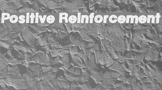Positive Reinforcement Schriftart examples