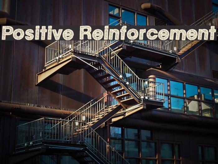 Positive Reinforcement Font examples