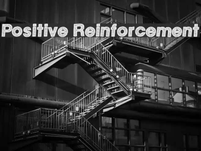 Positive Reinforcement Schriftart examples