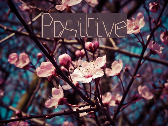Positive Font examples