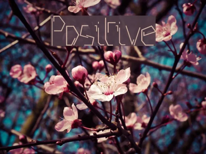 Positive Example 2