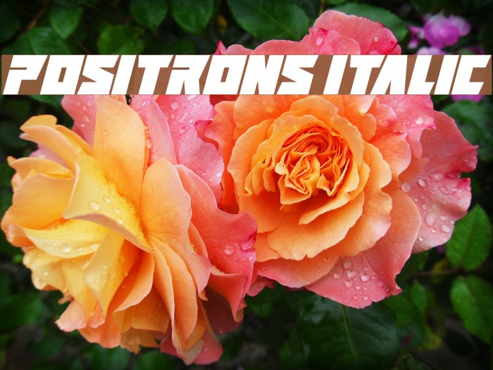 Positrons Italic Font examples