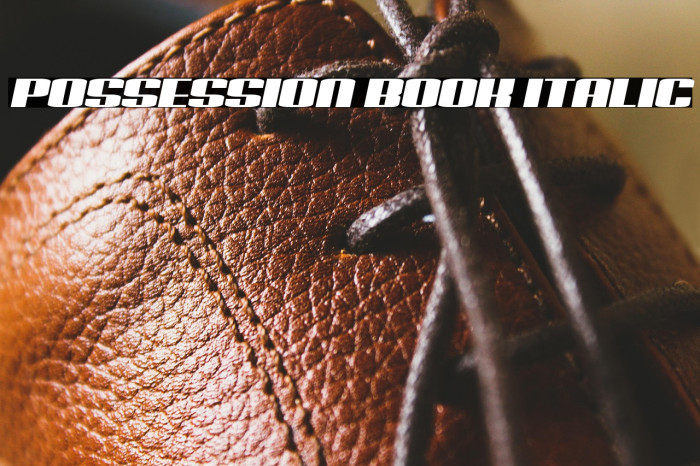 Possession Book Italic Example 1