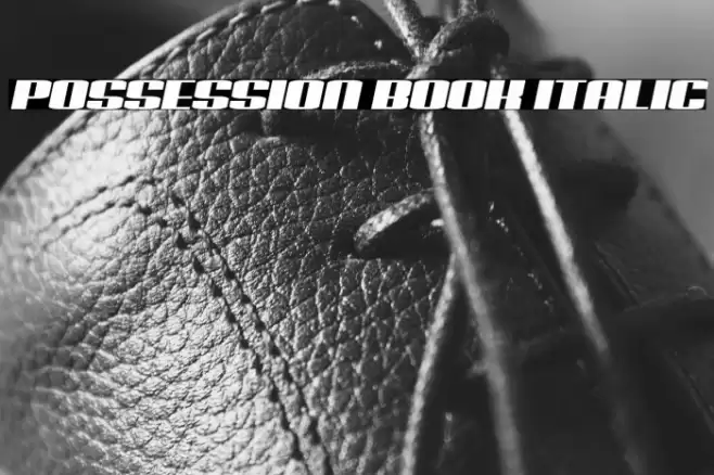 Possession Book Italic Font examples