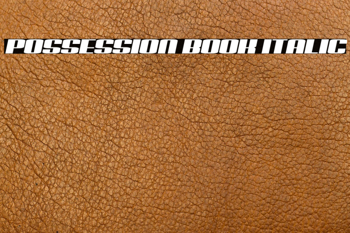 Possession Book Italic Example 3