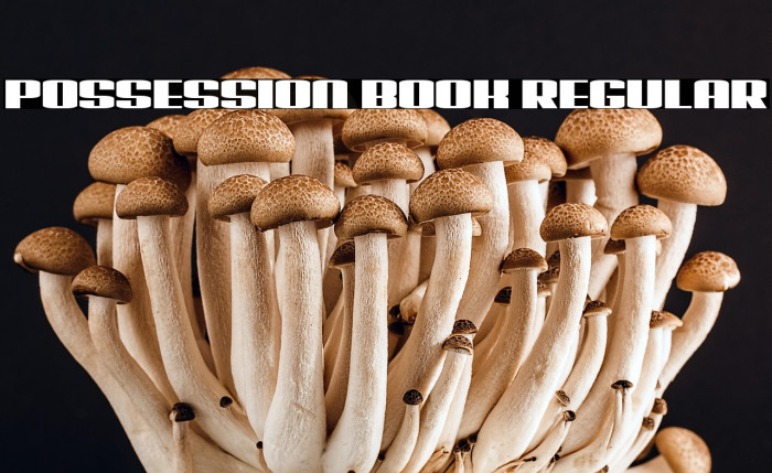 Possession Book Regular Example 1