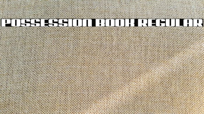 Possession Book Regular Example 3