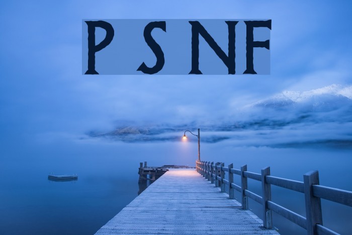 Possum Saltare NF Font examples