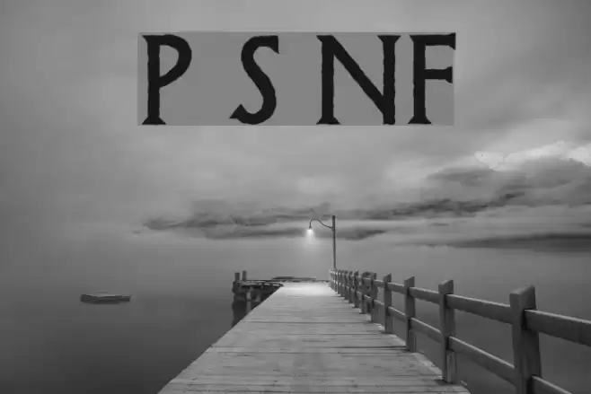 Possum Saltare NF Шрифта examples