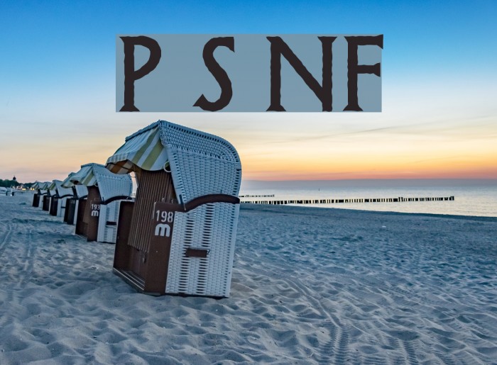 Possum Saltare NF Font examples