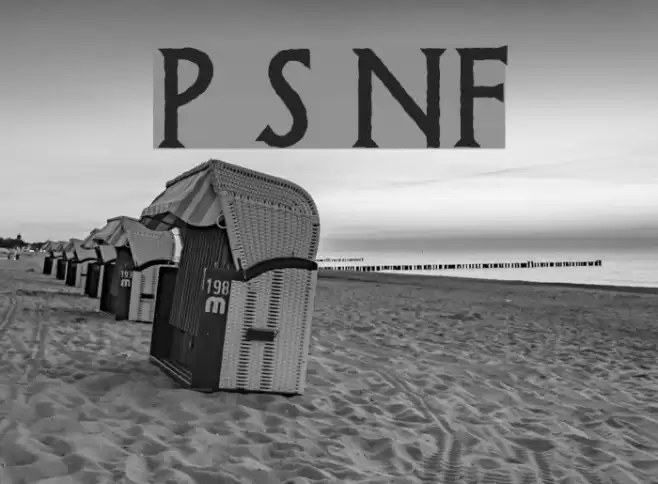 Possum Saltare NF Шрифта examples