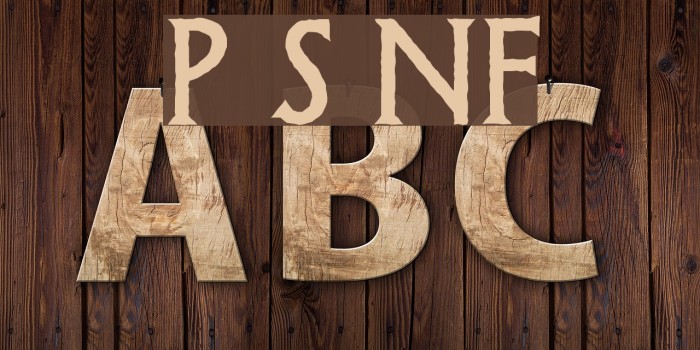 Possum Saltare NF Font examples