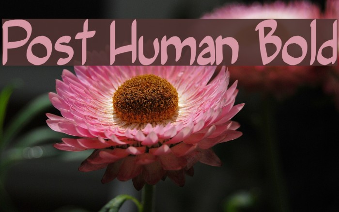 Post Human Bold Font examples