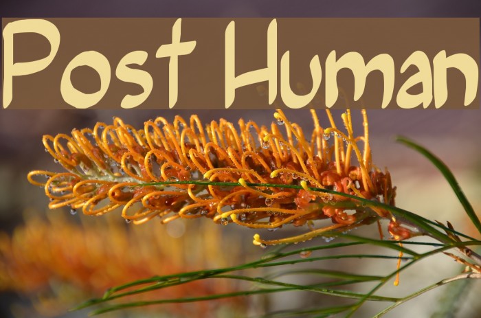 Post Human फ़ॉन्ट examples