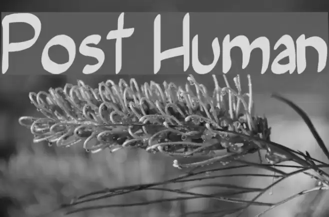 Post Human Font examples
