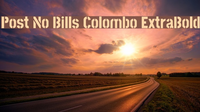Post No Bills Colombo ExtraBold Font examples