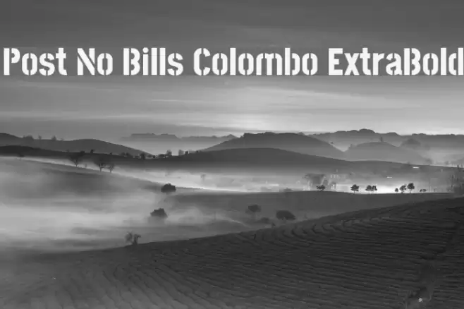 Post No Bills Colombo ExtraBold Font examples