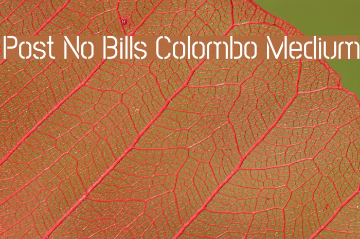 Post No Bills Colombo Medium Example 2