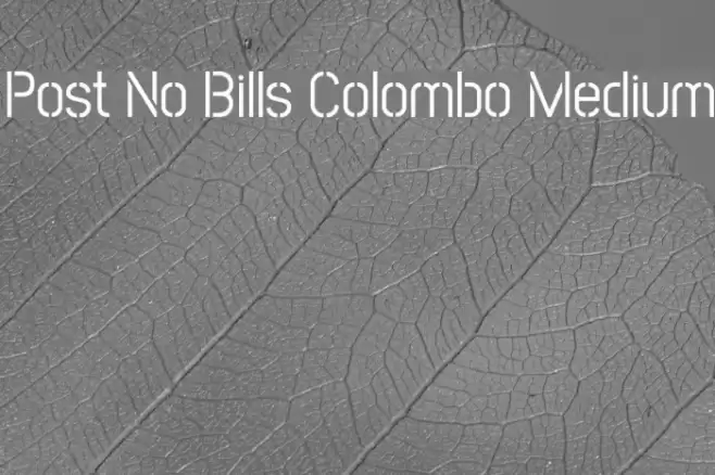 Post No Bills Colombo Medium Font examples