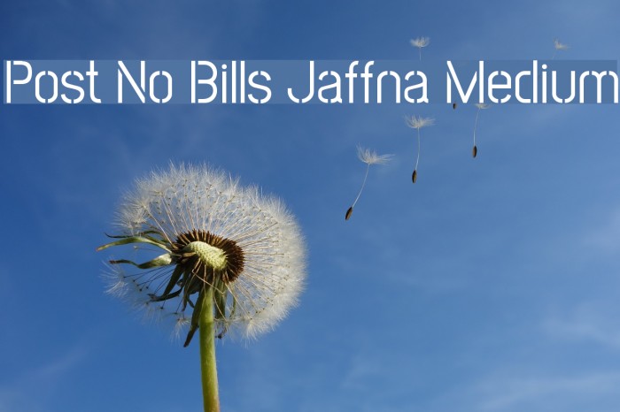 Post No Bills Jaffna Medium Example 2