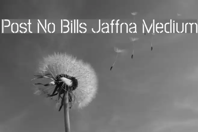 Post No Bills Jaffna Medium Font examples