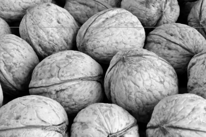 PostIndexHand2 Bold Font examples