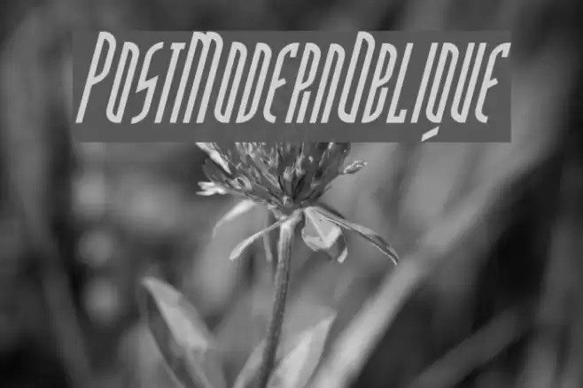 PostModernOblique خط examples