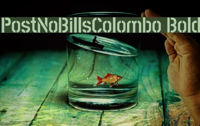 PostNoBillsColombo Bold Fuentes examples