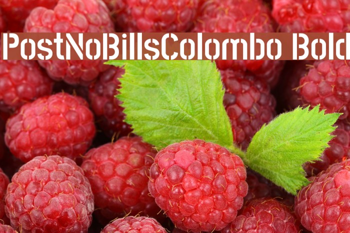 PostNoBillsColombo Bold Fuentes examples