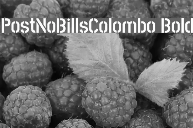 PostNoBillsColombo Bold Font examples