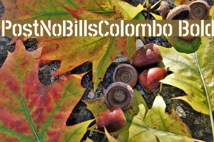 PostNoBillsColombo Bold Fuentes examples