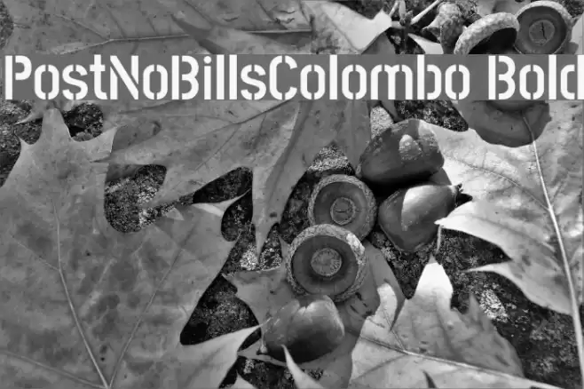 PostNoBillsColombo Bold Font examples