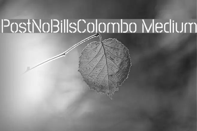 PostNoBillsColombo Medium Font examples
