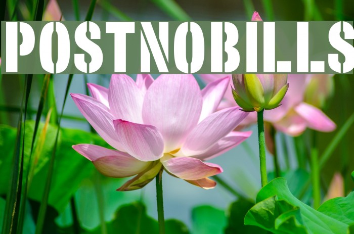 PostNoBills Font examples
