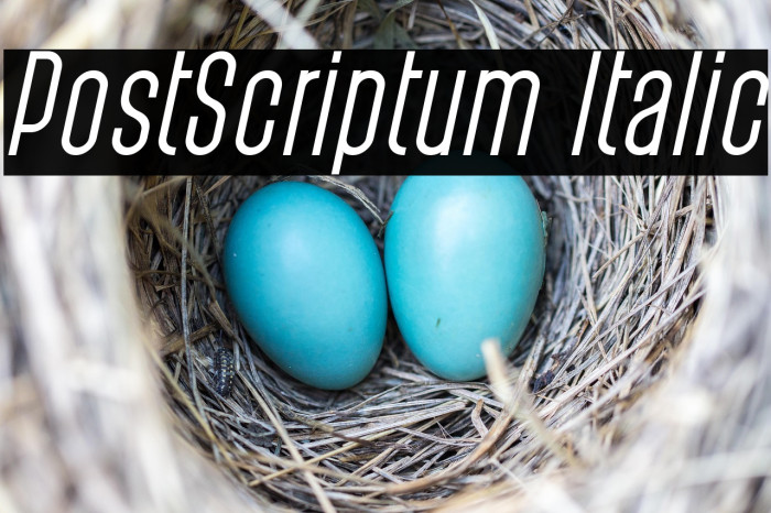 PostScriptum Italic Example 2