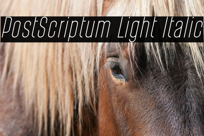 PostScriptum Light Italic Example 1