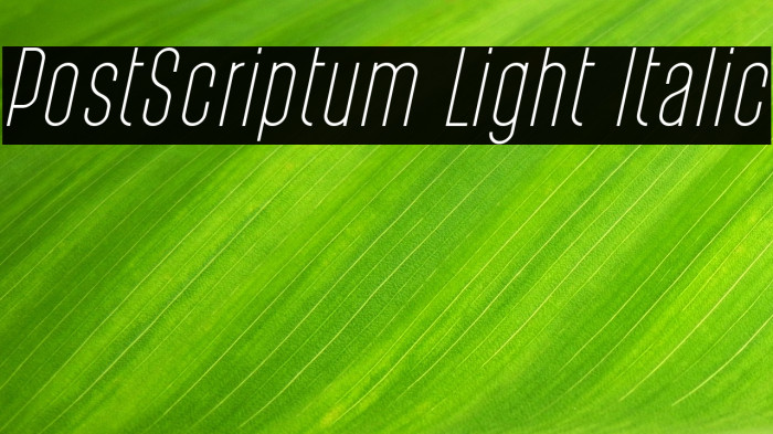 PostScriptum Light Italic Example 3