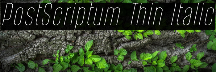 PostScriptum Thin Italic Example 2
