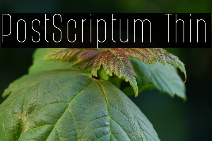 PostScriptum Thin Example 1
