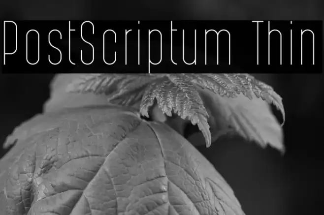 PostScriptum Thin Font examples